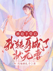 被迫下堂后,我转身成了状元妻