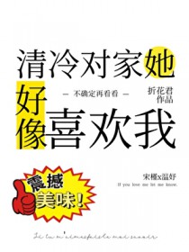 清冷对家她好像喜欢我