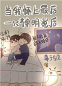 当我怀了最后一只神明崽后