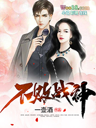 赘婿当道:不败战神