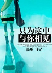 只为途中与你相见